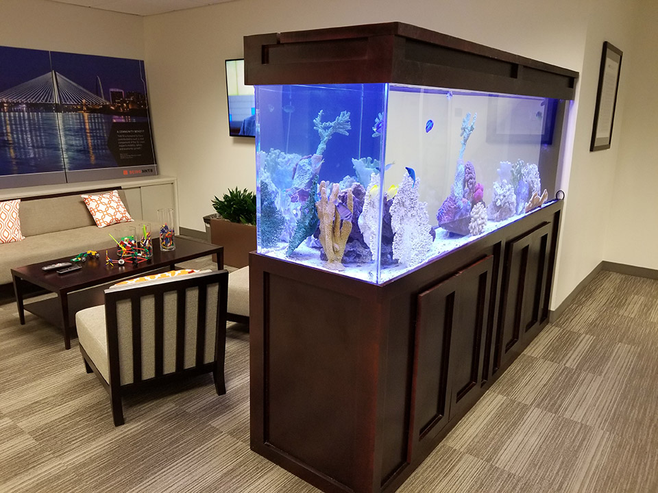 Bringing the Ocean to the Office