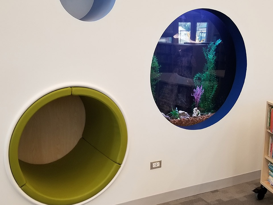 A Special Aquarium Project for the School Library