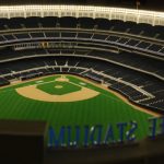 yankee stadium model enclosure by blue planet aquarium 2